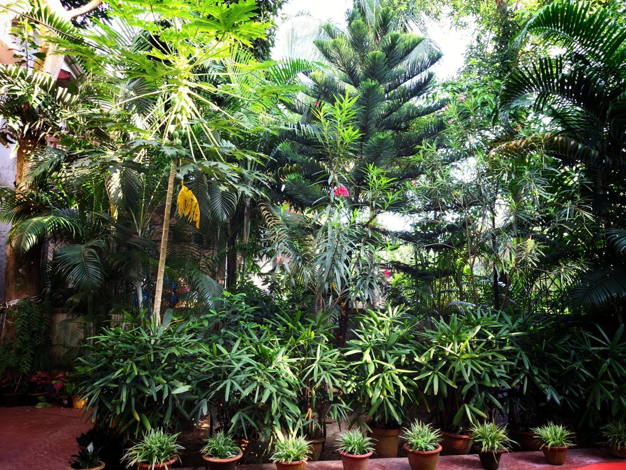 Chaiti Eco Homestay- Santiniketan Болпур Екстериор снимка
