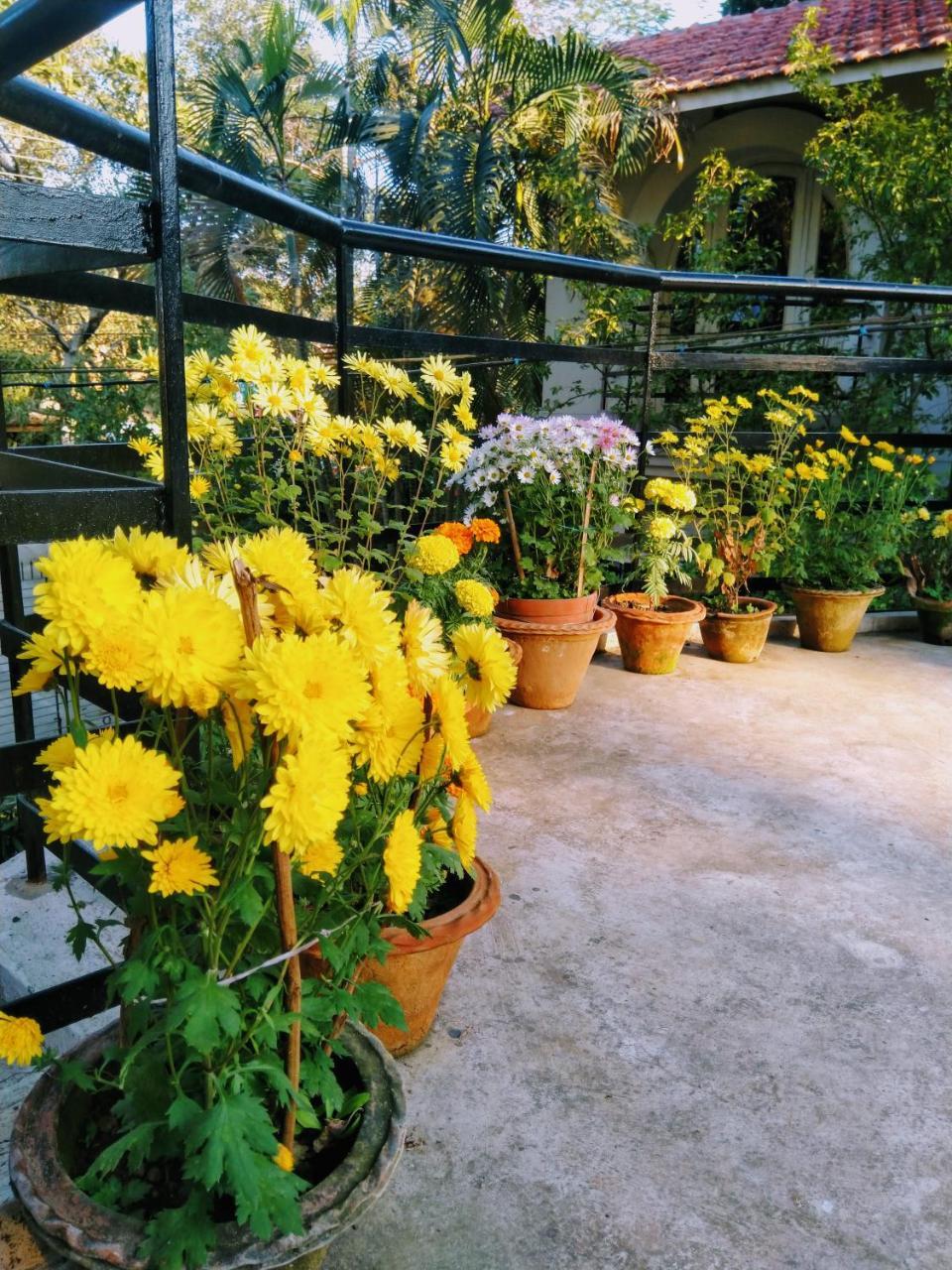 Chaiti Eco Homestay- Santiniketan Болпур Екстериор снимка